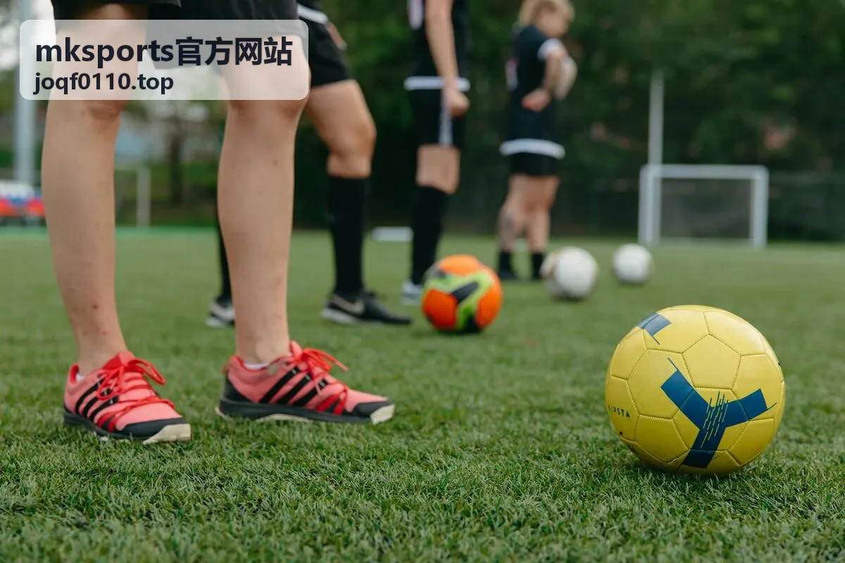 mksports官方网站精选内容示意