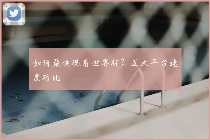 如何最快观看世界杯？五大平台速度对比