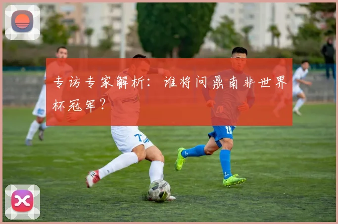 专访专家解析：谁将问鼎南非世界杯冠军？