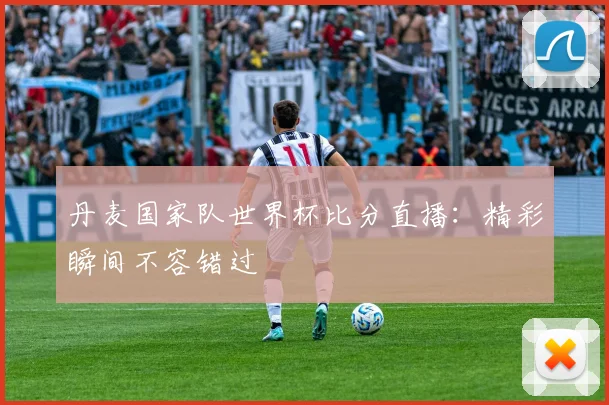 丹麦国家队世界杯比分直播：精彩瞬间不容错过