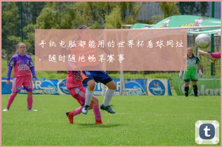 手机电脑都能用的世界杯看球网址,随时随地畅享赛事