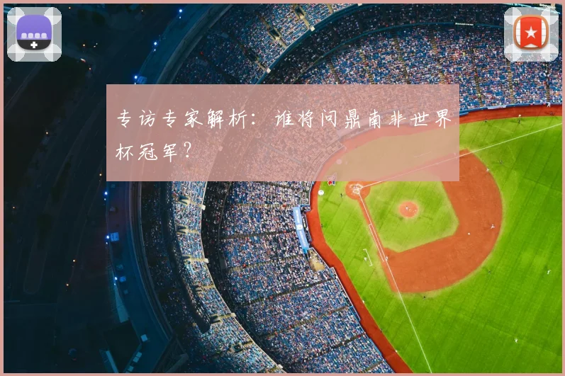 专访专家解析：谁将问鼎南非世界杯冠军？